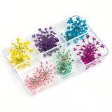 12/18Pcs/box 3D Dried Flowers Nail Art Decorations Dry Floral Bloom Stickers DIY Manicure Charms Designs For Nails Accessories