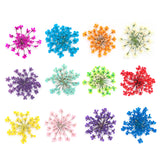 12/18Pcs/box 3D Dried Flowers Nail Art Decorations Dry Floral Bloom Stickers DIY Manicure Charms Designs For Nails Accessories