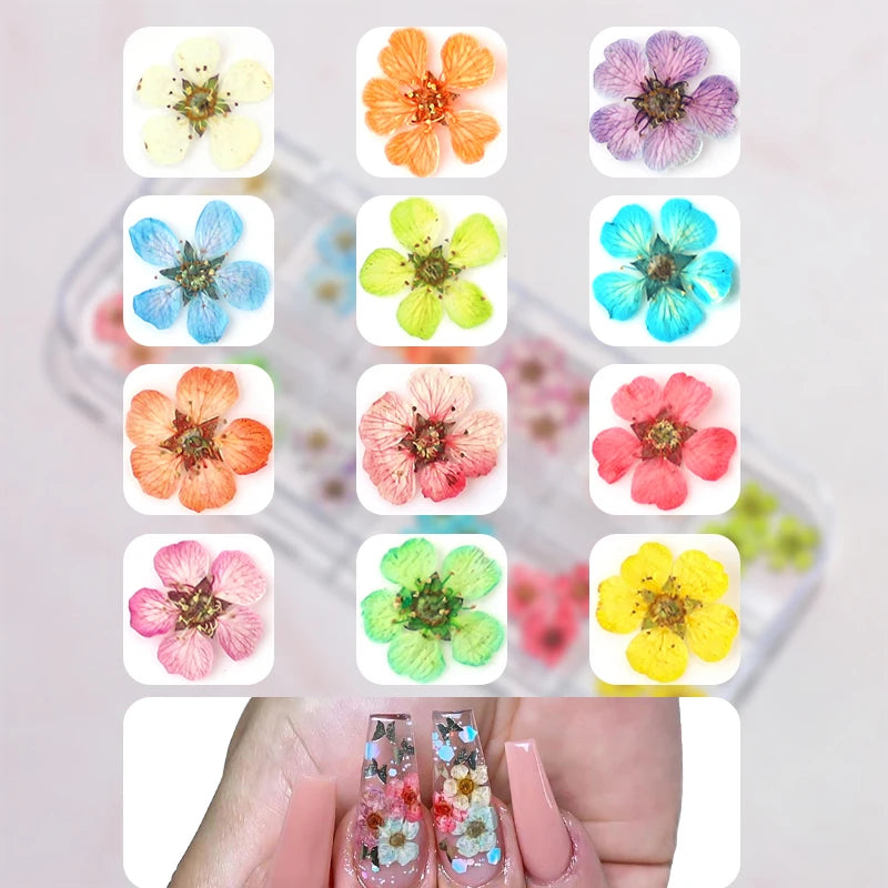 12/18Pcs/box 3D Dried Flowers Nail Art Decorations Dry Floral Bloom Stickers DIY Manicure Charms Designs For Nails Accessories