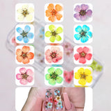 12/18Pcs/box 3D Dried Flowers Nail Art Decorations Dry Floral Bloom Stickers DIY Manicure Charms Designs For Nails Accessories