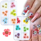 12/18Pcs/box 3D Dried Flowers Nail Art Decorations Dry Floral Bloom Stickers DIY Manicure Charms Designs For Nails Accessories